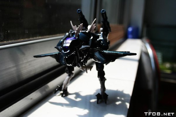 Rotf Ravage Alternate Mode  (23 of 28)